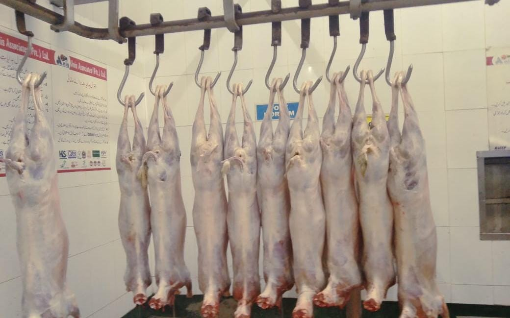 Mutton carcasses in a controlled facility